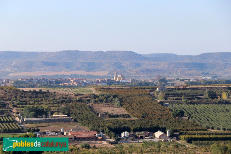 Panoràmica de les Borges Blanques