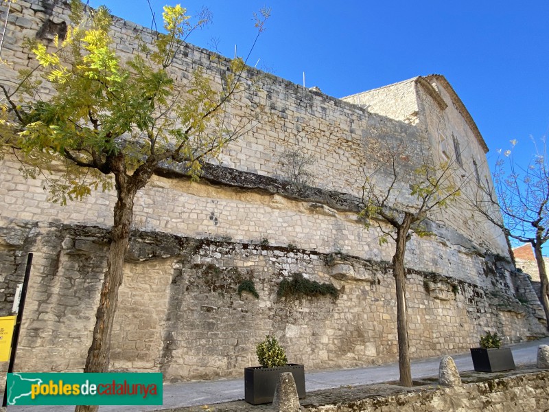 L'Espluga Calba - Castell