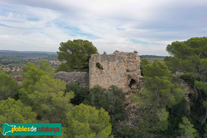 Riera de Gaià - Castell de Montoliu