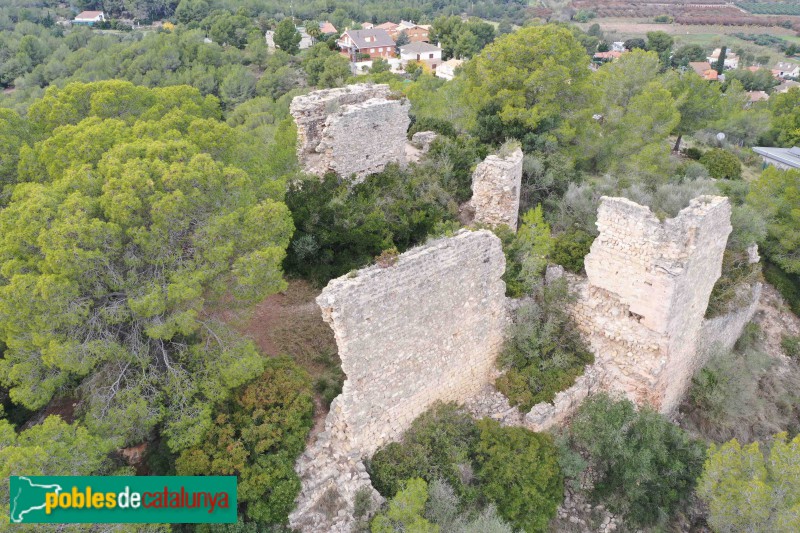 Riera de Gaià - Castell de Montoliu (Foto: Francesc Vidal-Barraquer, 2021) Riera de Gaià - Castell de Montoliu