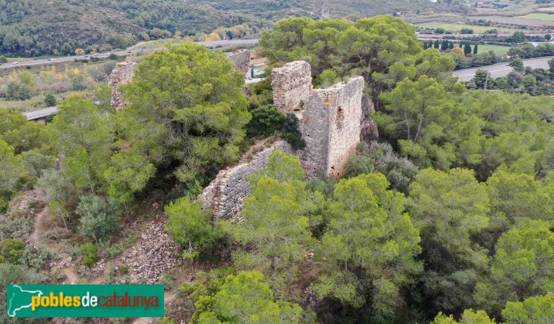 Riera de Gaià - Castell de Montoliu (Foto: Francesc Vidal-Barraquer, 2021) Riera de Gaià - Castell de Montoliu