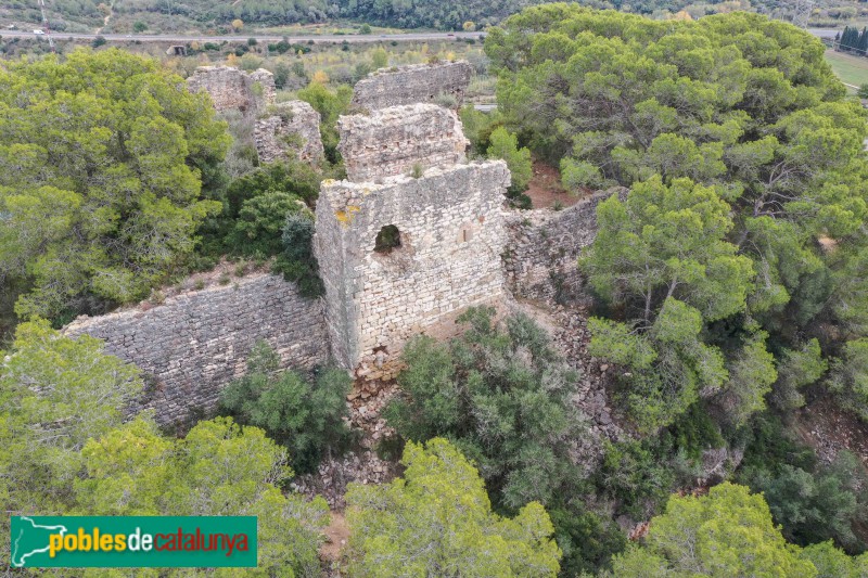 Riera de Gaià - Castell de Montoliu (Foto: Francesc Vidal-Barraquer, 2021) Riera de Gaià - Castell de Montoliu