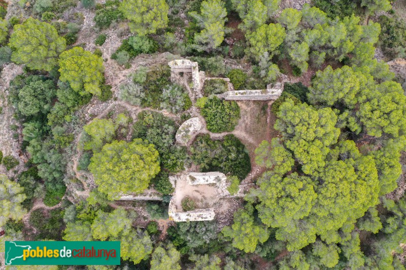 Riera de Gaià - Castell de Montoliu (Foto: Francesc Vidal-Barraquer, 2021) Riera de Gaià - Castell de Montoliu
