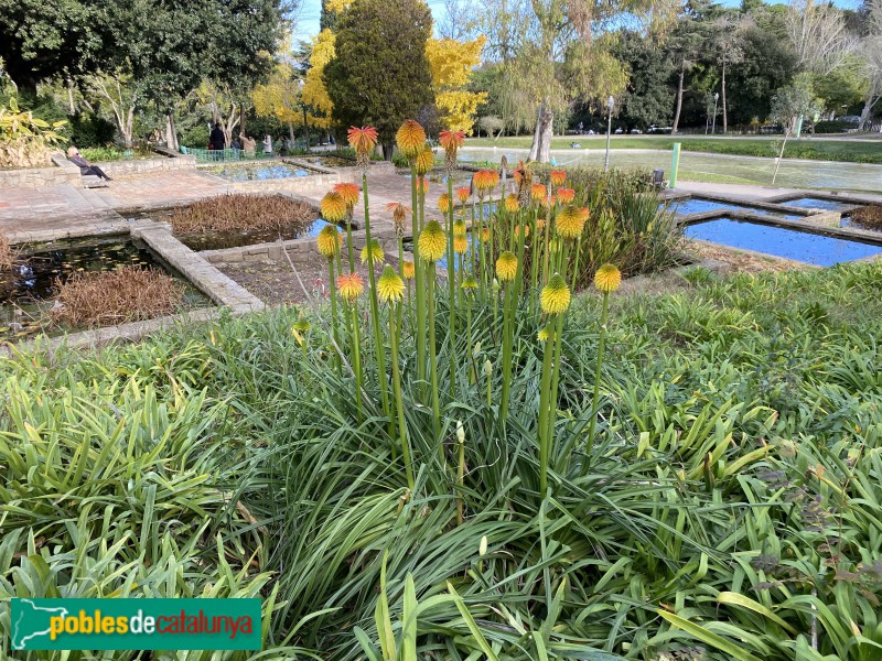 Barcelona - Jardins de Mossèn Cinto Verdaguer