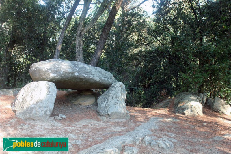 La Roca del Vallès - Dolmen de Can Planas