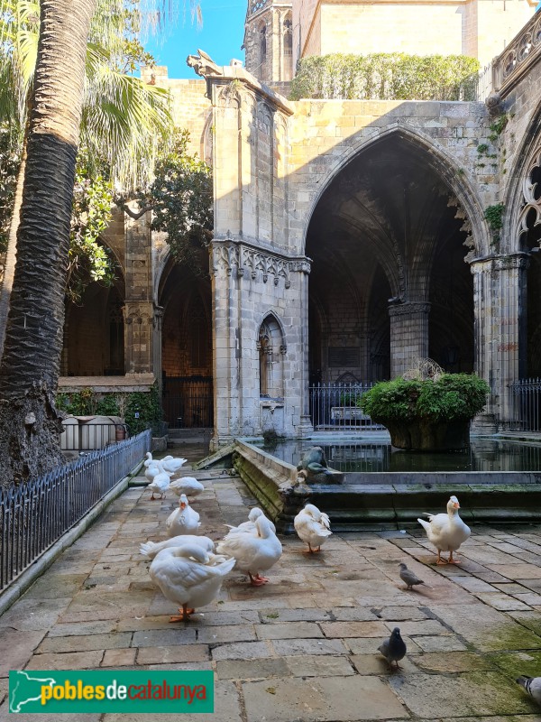 Barcelona - Claustre de la Catedral