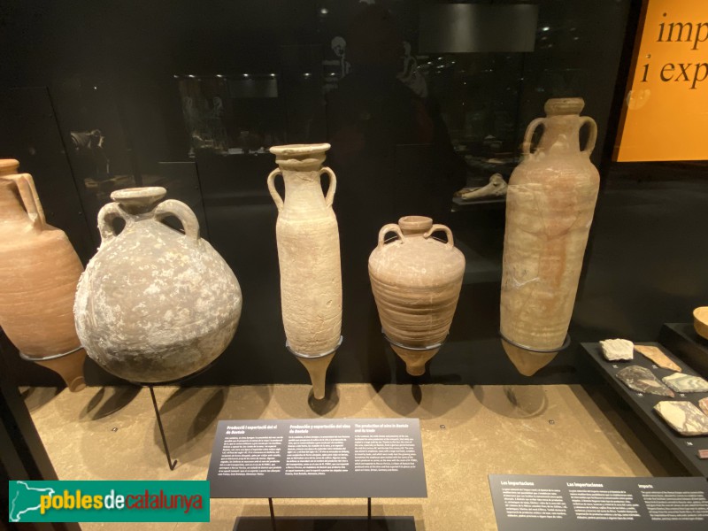 Museu de Badalona - Àmfores romanes (segle I aC) (Foto: Albert Esteves, 2022) Museu de Badalona - Àmfores romanes (segle I aC)
