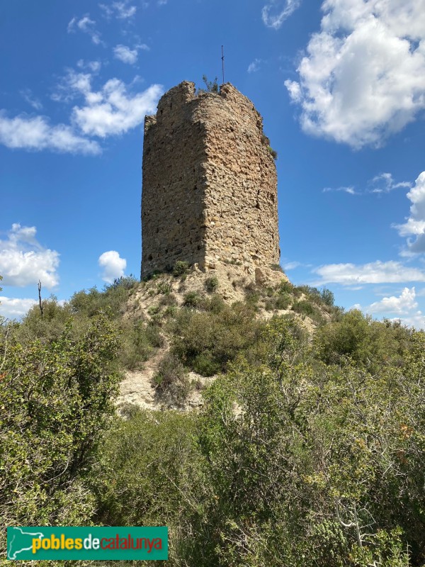 Castellfollit de Riubregós - Castell