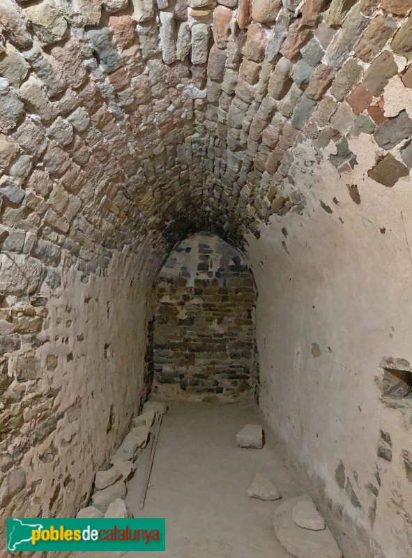 Castellfollit de Riubregós - Castell (Foto: Antoni Coll, 2022) Castellfollit de Riubregós - Castell