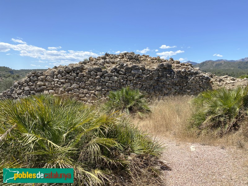 Poblat ibèric del Castellot de la Roca Roja