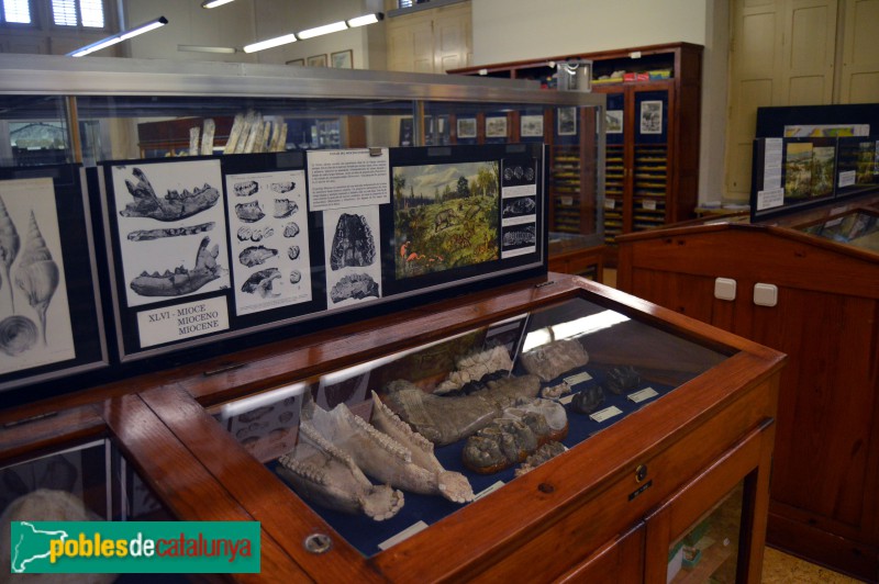 Museu Geològic del Seminari de Barcelona