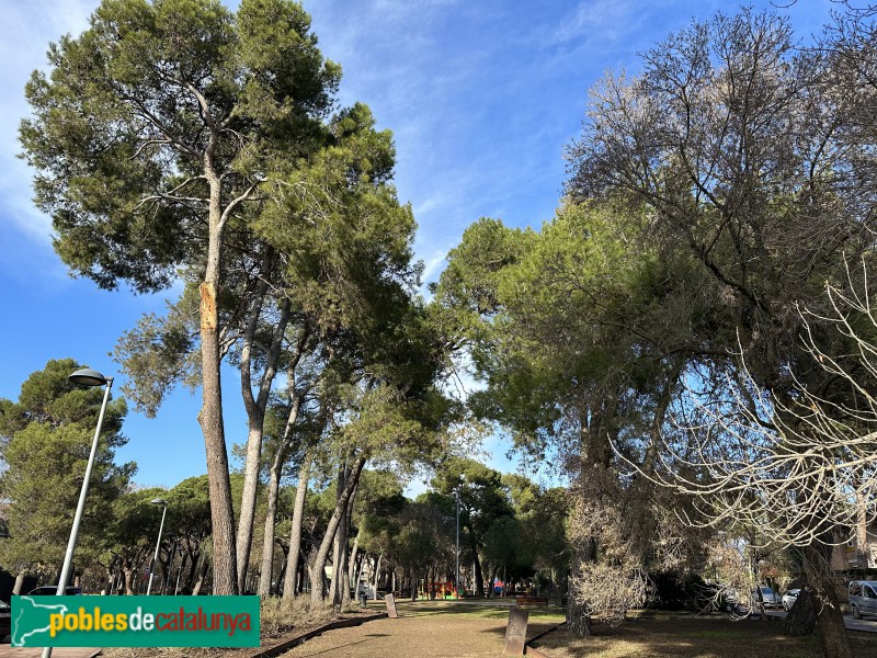 Cardedeu - Parc dels Pinetons (Foto: Albert Esteves, 2022) Cardedeu - Parc dels Pinetons