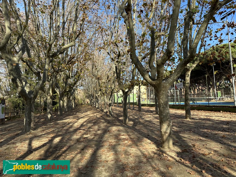 Cardedeu - Parc dels Pinetons (Foto: Albert Esteves, 2022) Cardedeu - Parc dels Pinetons