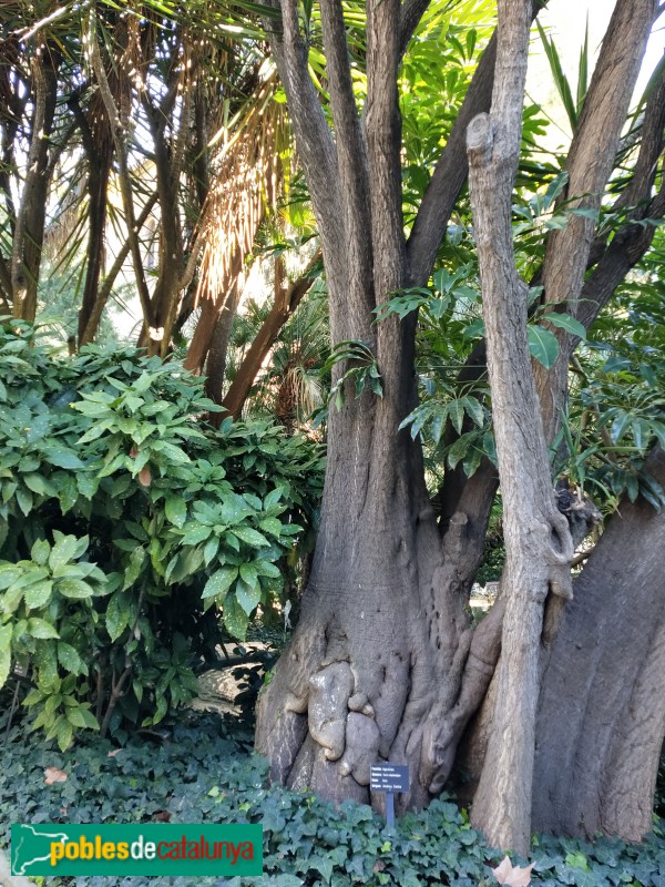 Barcelona - Universitat de Barcelona. Jardins (Foto: Anna Corcoll, 2016) Barcelona - Universitat de Barcelona. Jardins