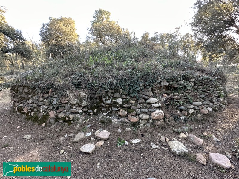 L'Ametlla del Vallès - Pou de glaç de Can Draper (Foto: Albert Esteves, 2023) L'Ametlla del Vallès - Pou de glaç de Can Draper