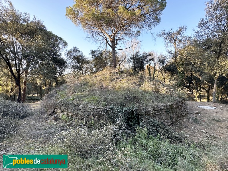 L'Ametlla del Vallès - Pou de glaç de Can Draper (Foto: Albert Esteves, 2023) L'Ametlla del Vallès - Pou de glaç de Can Draper