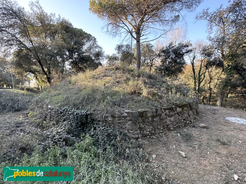 L'Ametlla del Vallès - Pou de glaç de Can Draper (Foto: Albert Esteves, 2023) L'Ametlla del Vallès - Pou de glaç de Can Draper
