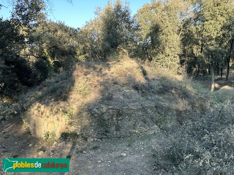 L'Ametlla del Vallès - Pou de glaç de Can Draper (Foto: Albert Esteves, 2023) L'Ametlla del Vallès - Pou de glaç de Can Draper