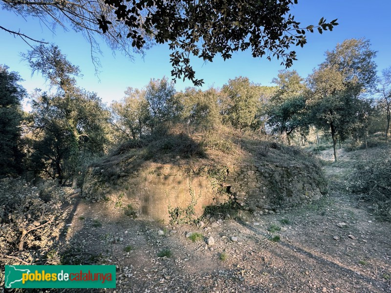 L'Ametlla del Vallès - Pou de glaç de Can Draper (Foto: Albert Esteves, 2023) L'Ametlla del Vallès - Pou de glaç de Can Draper