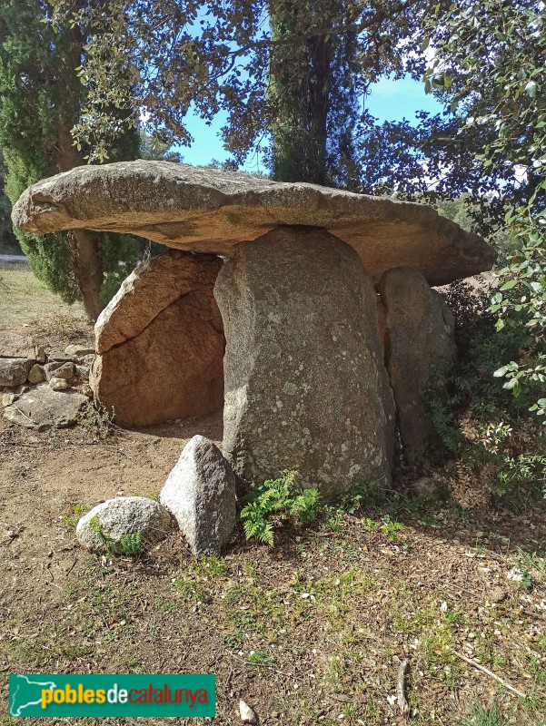 Darnius - Dolmen de Puig Caneres