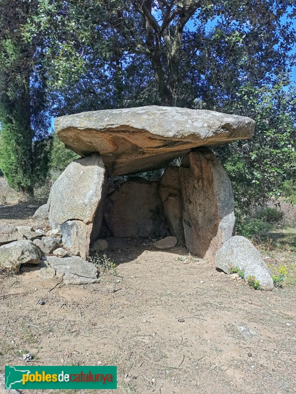 Darnius - Dolmen de Puig Caneres