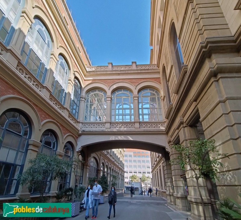 Barcelona - Facultat de Medicina