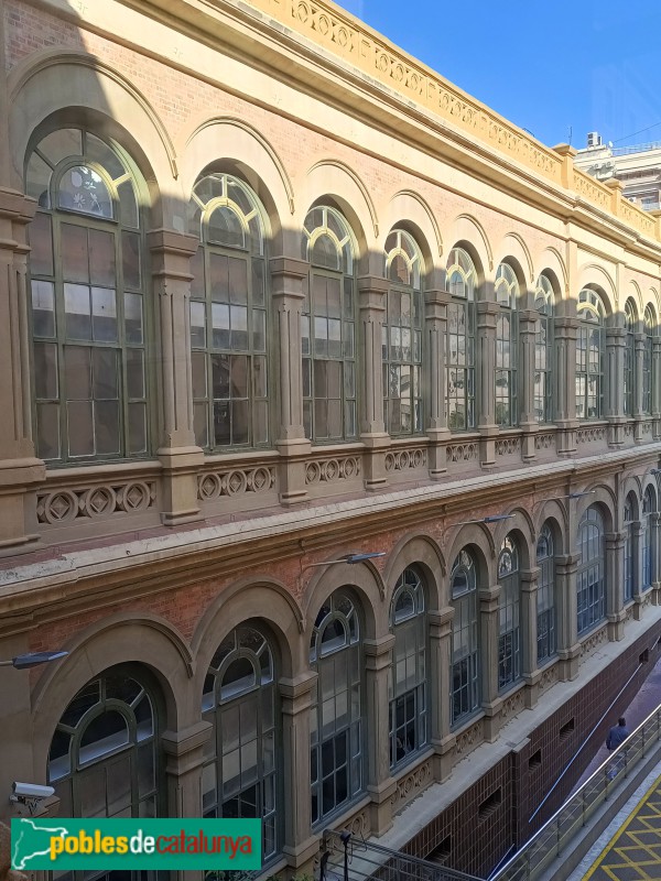 Barcelona - Facultat de Medicina