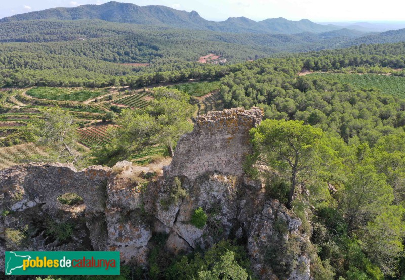 Aiguamúrcia - Castell de Selma