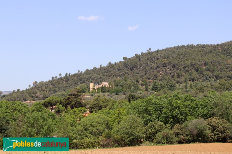 Cànoves i Samalús - Castell d'en Bori o de Samalús