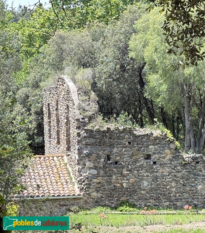 Cànoves i Samalús - Castell de Cànoves