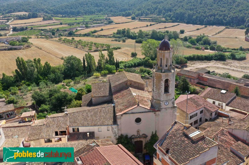 Cabra del Camp - Església de Santa Maria, detall portada