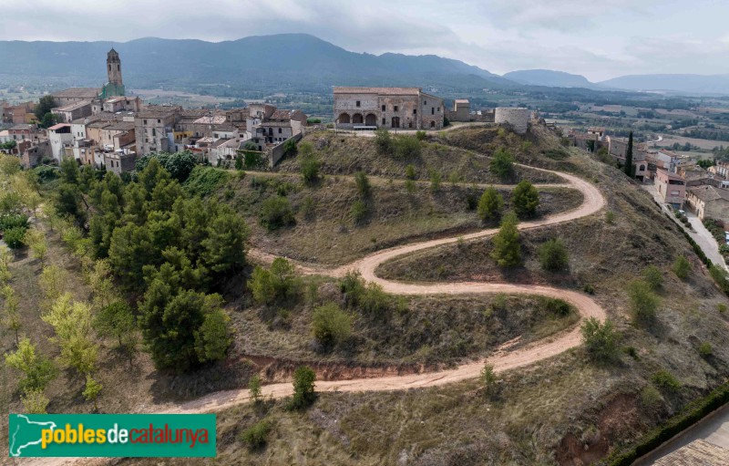 Barberà de la Conca - Castell de Barberà (Foto: Francesc Vidal-Barraquer, 2023) Barberà de la Conca - Castell de Barberà