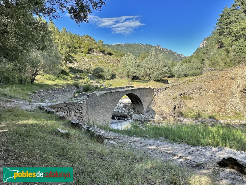 El Pont de Suert - Pont de Montiberri (Foto: Albert Esteves, 2023) El Pont de Suert - Pont de Montiberri