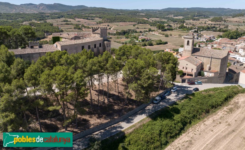 Sant Martí de Tous - Castell i església (Foto: Francesc Vidal-Barraquer, 2023) Sant Martí de Tous - Castell i església
