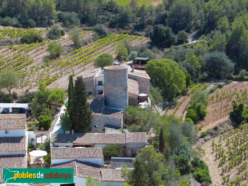Avinyonet del Penedès - Torre de l'Arboçar (Foto: Francesc Vidal-Barraquer, 2023) Avinyonet del Penedès - Torre de l'Arboçar