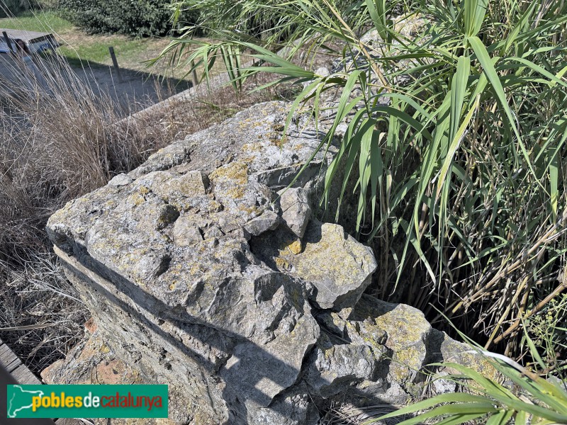La Ràpita - Restes del Canal de l'Ebre (Foto: Albert Esteves, 2023) La Ràpita - Restes del Canal de l'Ebre