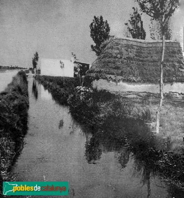 Barraca al delta. Postal antiga Barraca al delta. Postal antiga