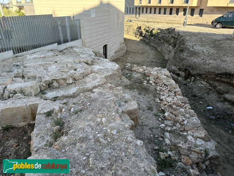 Amposta - Castell. Muralles i fossat interior (Foto: Albert Esteves, 2023) Amposta - Castell. Muralles i fossat interior