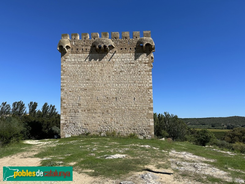 Amposta - Torre de la Carrova (Foto: a, 2023) Amposta - Torre de la Carrova