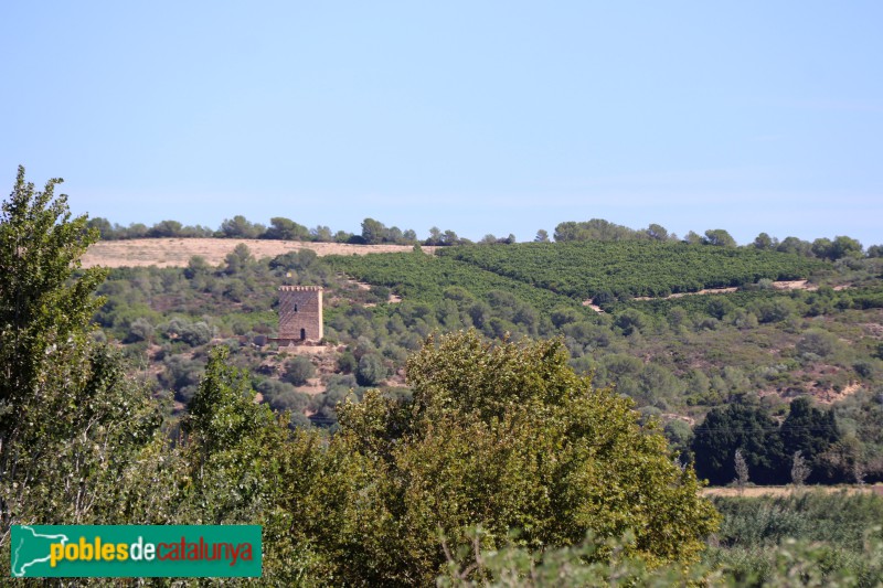 Tortosa - Torre de Campredó, des de la Torre de la Carrova (Foto: Albert Esteves, 2023) Tortosa - Torre de Campredó, des de la Torre de la Carrova