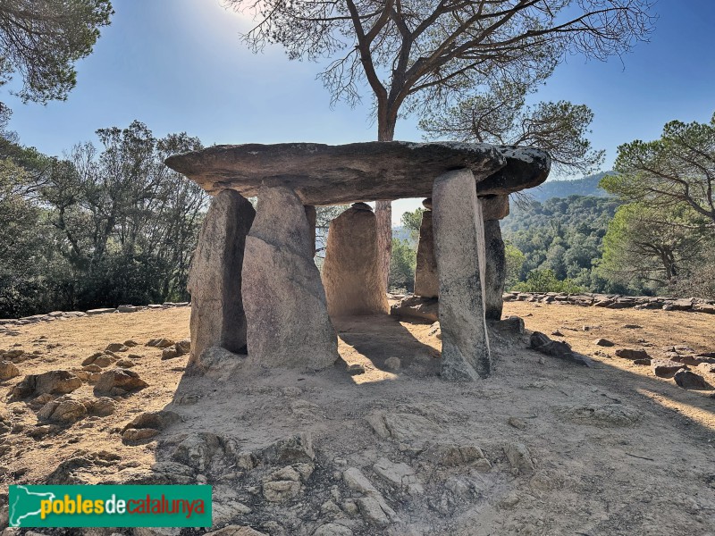 Vallgorguina - Dolmen Pedra Gentil