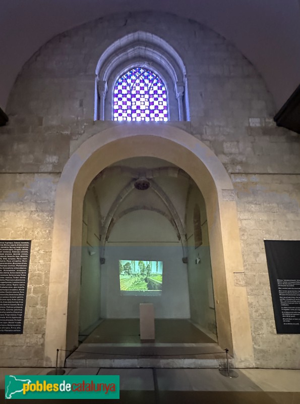 Monestir de Sant Cugat - Sala capitular