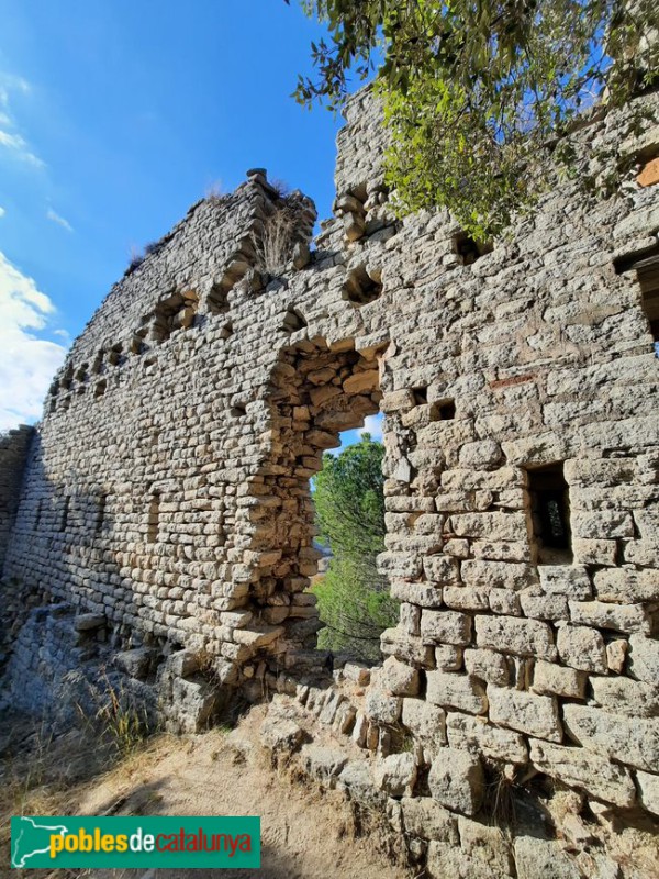 Seva - Castell d'Esparreguera (Foto: Ferran Artigas, 2023) Seva - Castell d'Esparreguera