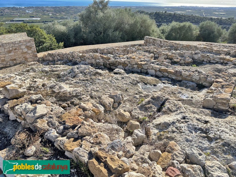 Alcanar - Moleta del Remei (Foto: Albert Esteves, 2023) Alcanar - Moleta del Remei