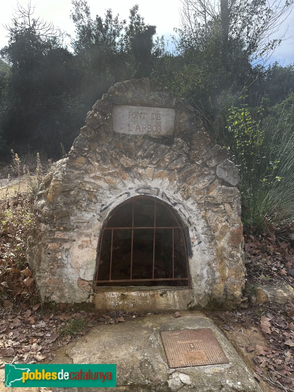 Godall - Font de l'Arboç (Foto: Albert Esteves, 2024) Godall - Font de l'Arboç