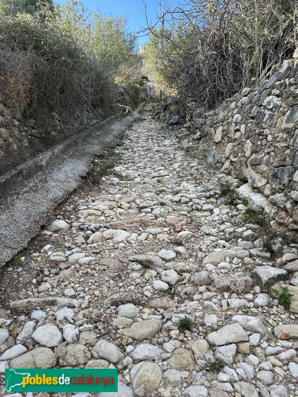 Mas de Barberans - Camí a la font de les Piques