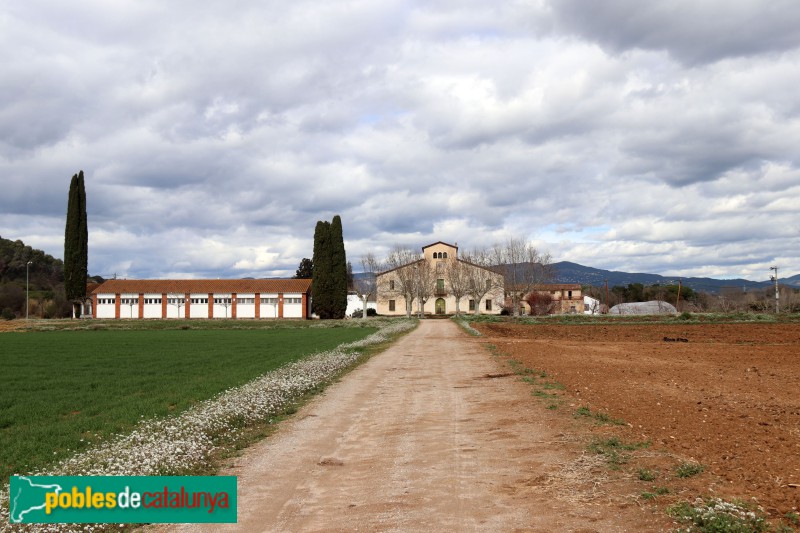 Lliçà de Vall - Bella Plana (Foto: Albert Esteves, 2024) Lliçà de Vall - Bella Plana