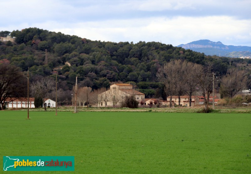 Lliçà de Vall - Bella Plana (Foto: Albert Esteves, 2024) Lliçà de Vall - Bella Plana