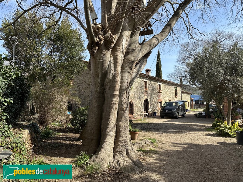 Sant Esteve de Palautordera - Can Molins