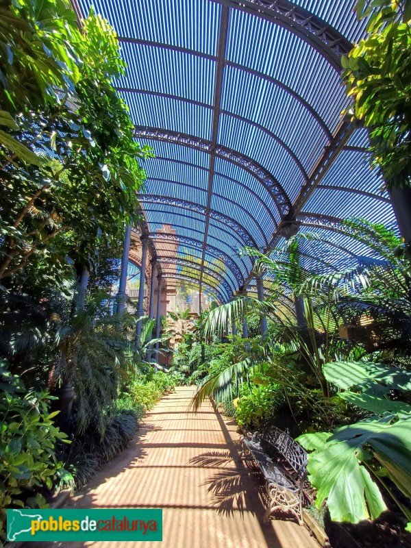 Barcelona - Parc de la Ciutadella - Umbracle (Foto: Sergi Suárez, 2024) Barcelona - Parc de la Ciutadella - Umbracle